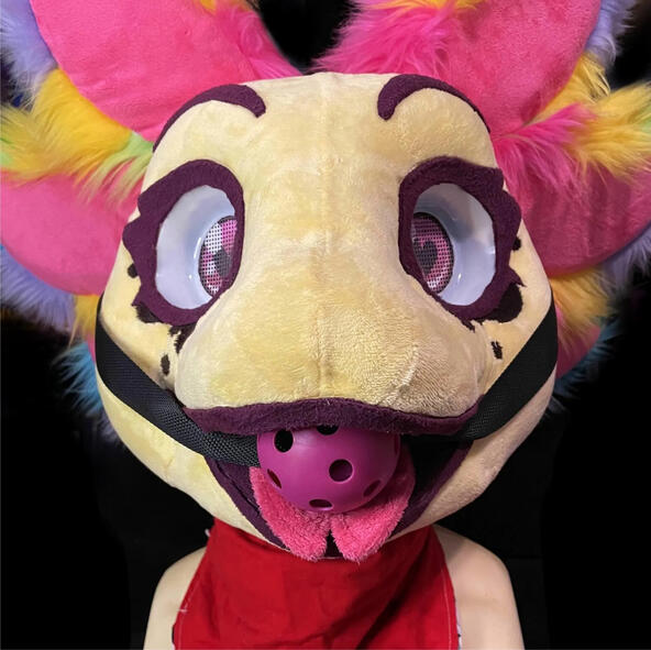 Fursuit Gags